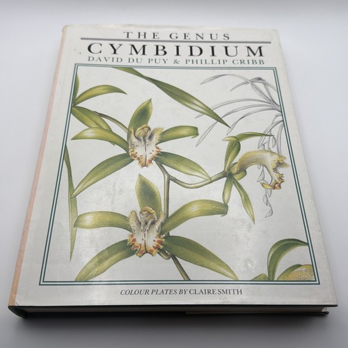 Genus cymbidium david du - cymbidium,